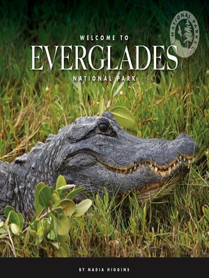 cover image of Welcome to Everglades National Park